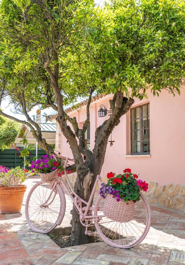 Quinta Aida Cottage And B&B Suites Lagoa  Exterior photo